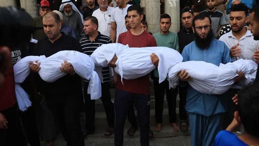 Iranpress: UN says 70% of Gaza victims are children, women