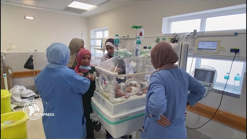 Iranpress: Doctors trying to save premature babies in Gaza