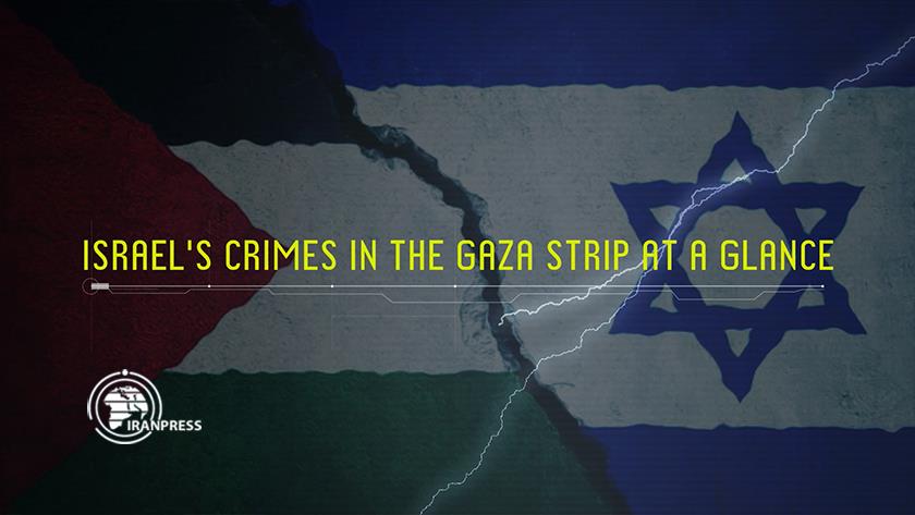 Iranpress: Israeli crimes in Gaza at a glance