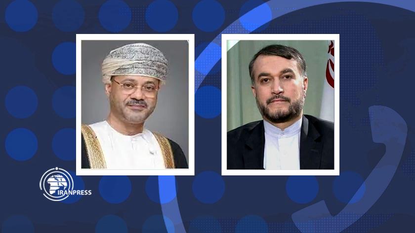 Iranpress: Iranian Omani top diplomats discuss war on Gaza