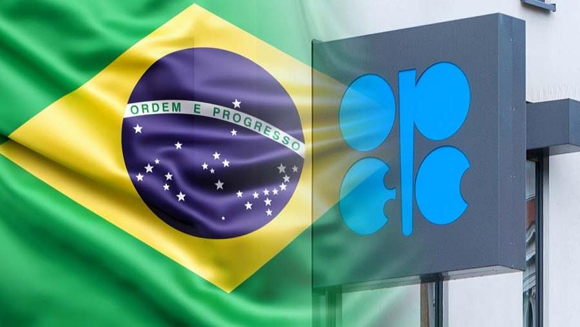 Iranpress: Brazil to join OPEC+, Petrobras CEO says