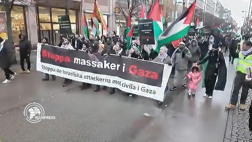 Iranpress: Swedes express solidarity with Gazans 