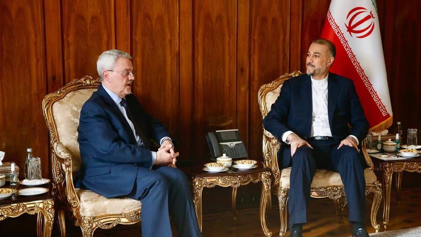 Iranpress: Iran FM meets Iraqi deputy FM to discuss ties, Palestine
