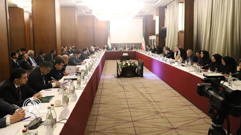 Iranpress: Iran, Tajikistan joint commission for economic cooperation kicks off