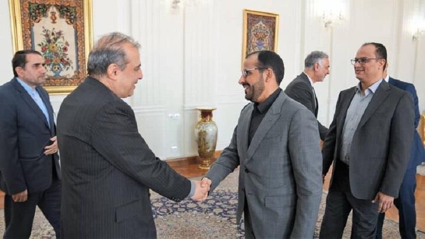 Iranpress: Iranian FM advisor holds consultations with Yemeni chief negotiator