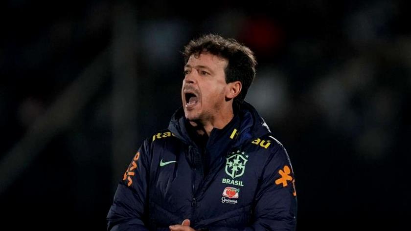 Iranpress: Brazil coach Diniz fired