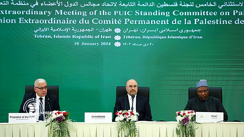 Iranpress: Tehran hosts 5th emergency meeting of Palestine Standing Committee 