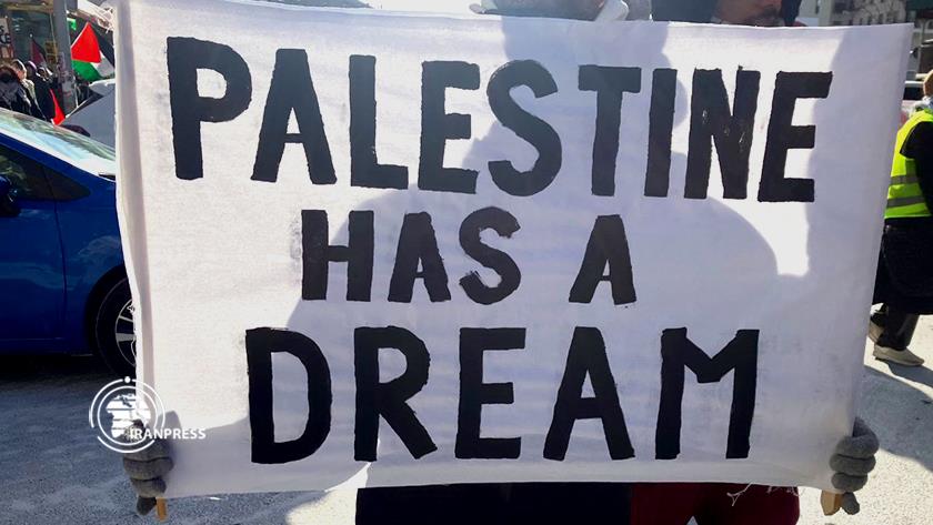Iranpress: Solidarity with Gazans in NY