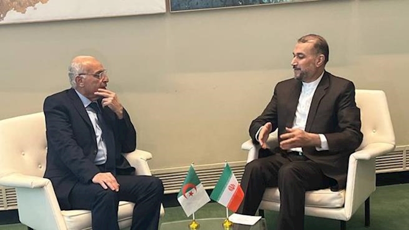 Iranpress: Iran, Algeria FMs confer on latest regional developments in New York