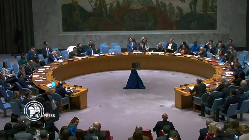 Iranpress: UN Security Council urges Israeli regime to end genocide