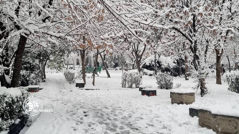 Iranpress: Tehran; Beautiful snowfall dresses city white