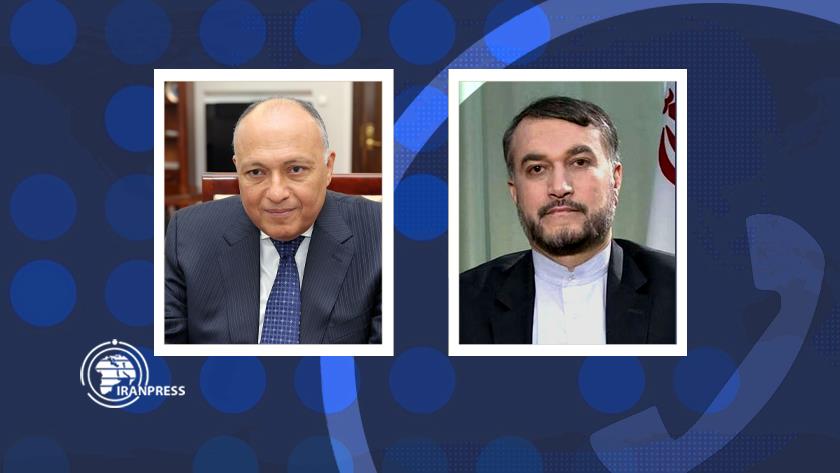 Iranpress: Iran, Egypt FMs discuss latest developments in Gaza, region