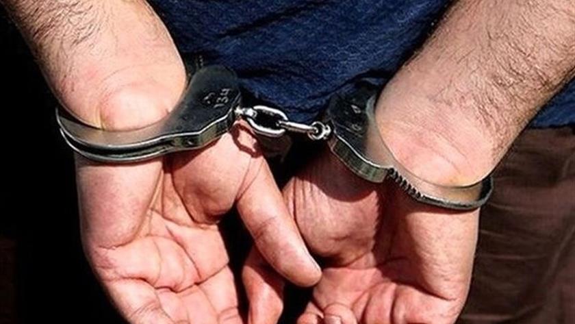Iranpress: One terrorist arrested in Southern Iran