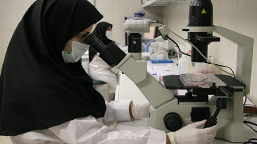 Iranpress: Iran introduces innovative virus-based treatment for cancer