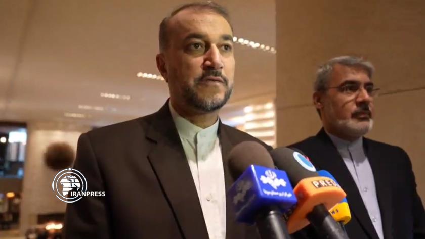 Iranpress: Amir-Abdollahain: Iran, Egypt ties in good direction