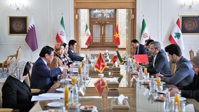 Iranpress: Iran, Vietnam FM deputies confer on bilateral issues 