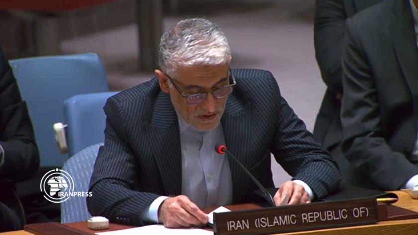 Iranpress: Envoy: Iran supports Syria-OPCW negotiations