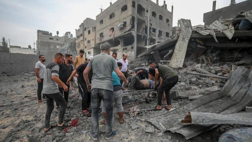 Iranpress: Gaza; Martyrs exceed 31.5k