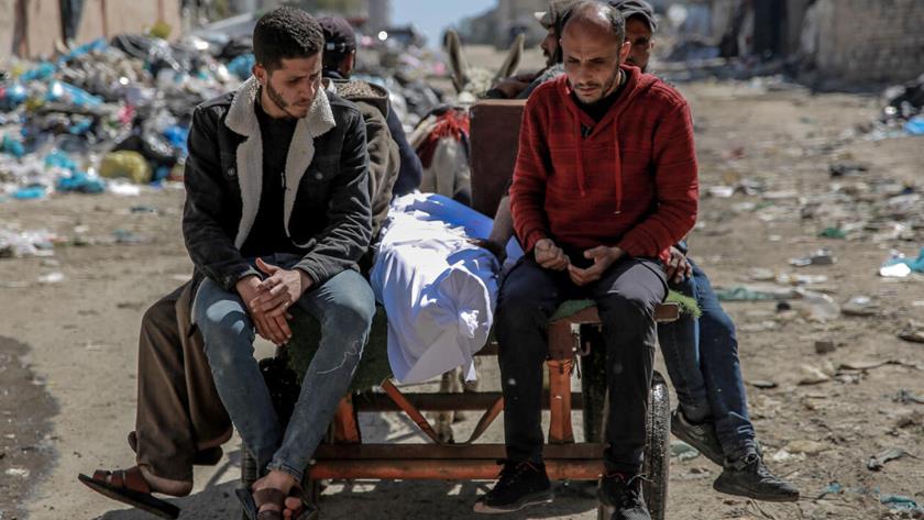 Iranpress: Gaza; Over 100 aid distributors martyred in 1 week