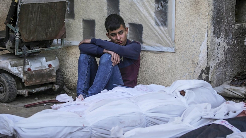 Iranpress: War on Gaza; Martyrs exceed 32K
