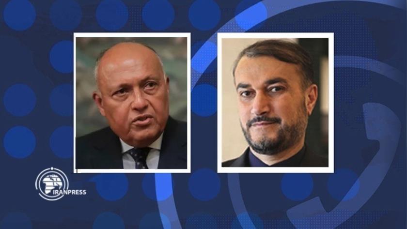 Iranpress: Iranian, Egyptian FMs address bilateral issues, Palestine