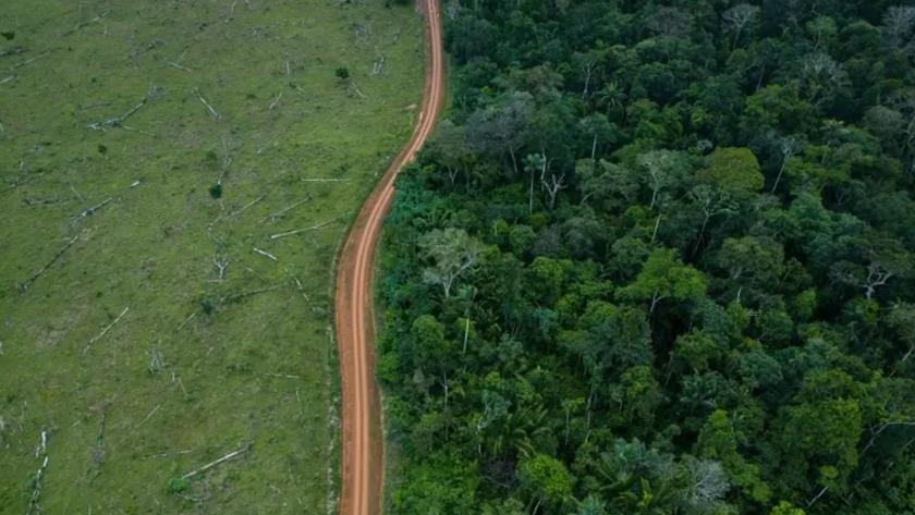 Iranpress: Climate change: Amazon logging decline after political change