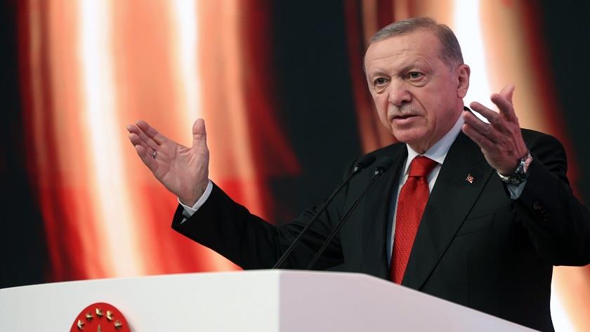 Iranpress: Turkish President says Netanyahu solely responsible for regional tensions