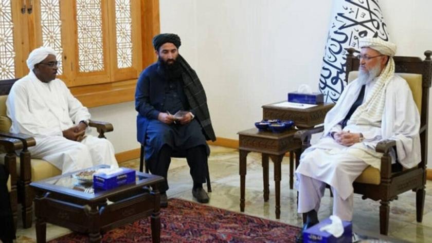 Iranpress: Taliban seeks to send representative to OIC summit in Gambia