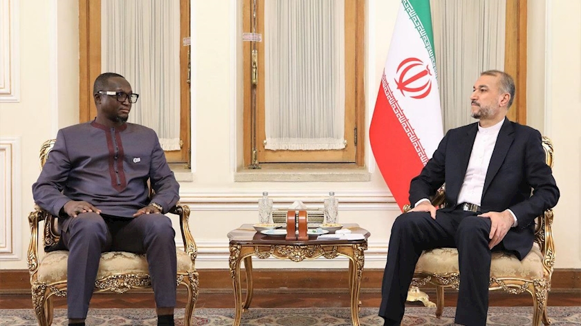 Iranpress: Amir-Abdollahian: Expansion of ties with African states, Iran’s priority