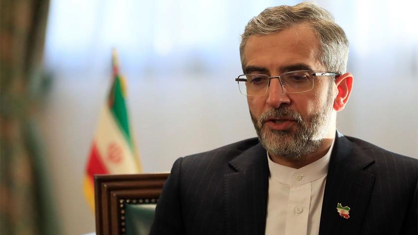 Iranpress: Acting FM: Palestinian resistance pushed Zionism into global isolation