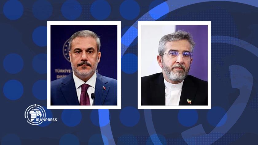 Iranpress: Bagheri and Fidan Discuss Bilateral Issues and Developments in Gaza Over Phone