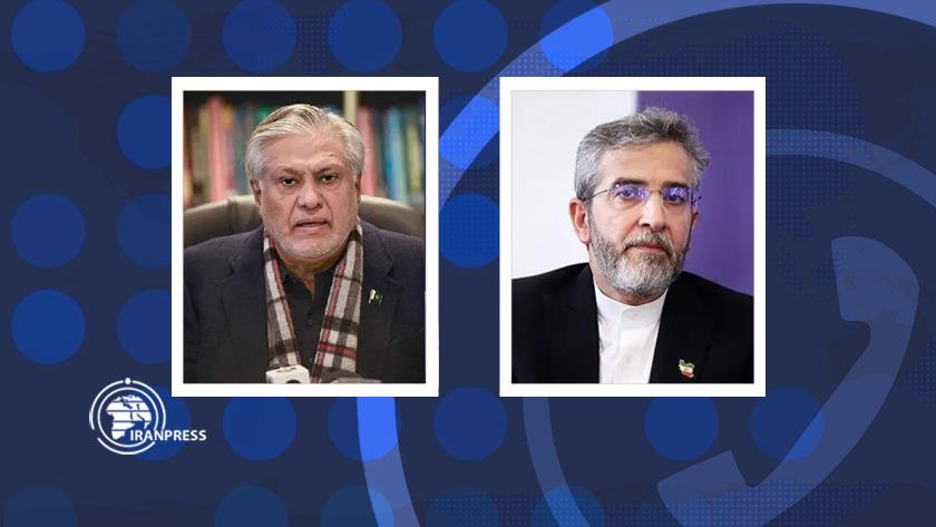 Iranpress: Iran Acting FM, Pakistani FM Confer on latest developments in Palestine