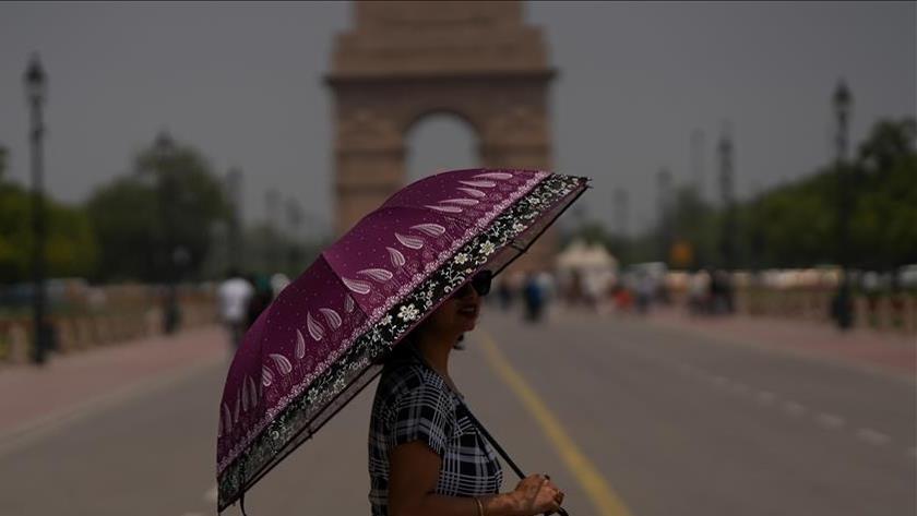 Iranpress: Dozens killed by extreme heat in India