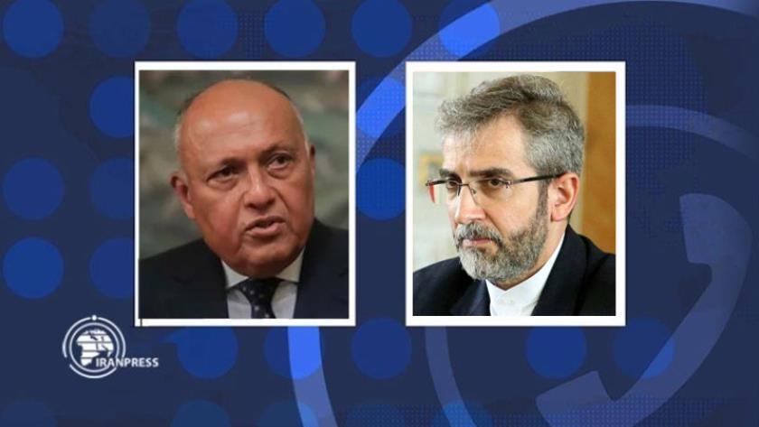 Iranpress:  Iran, Egypt stress continuation of talks on bilateral issues