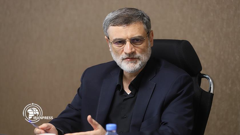 Iranpress: Seyed Amirhossein Ghazizadeh Hashemi: Biography of Iran Presidential Candidates