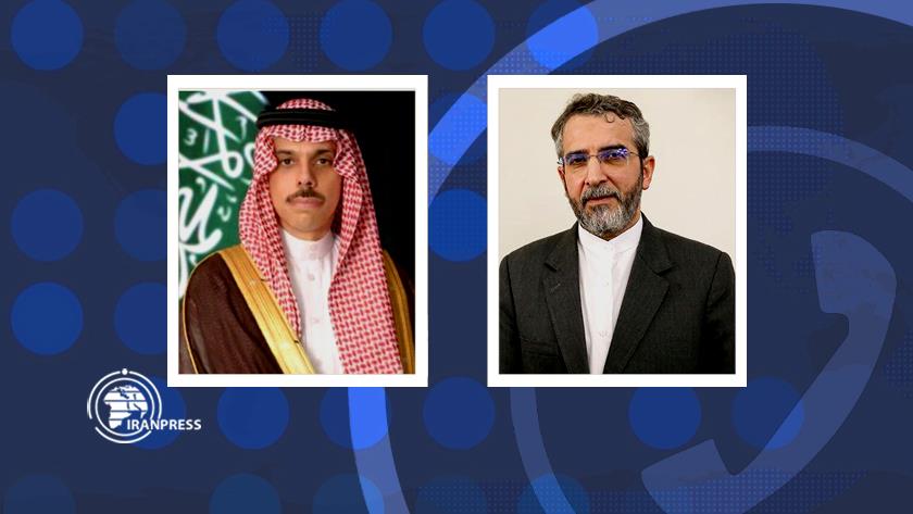 Iranpress: Bagheri, Saudi FM discuss Hajj pilgrimage 