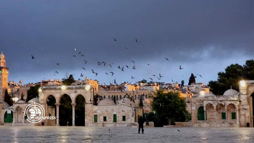 Iranpress: Al-Aqsa Mosque hosts Thousands of prayers for Eid Al-Adha 