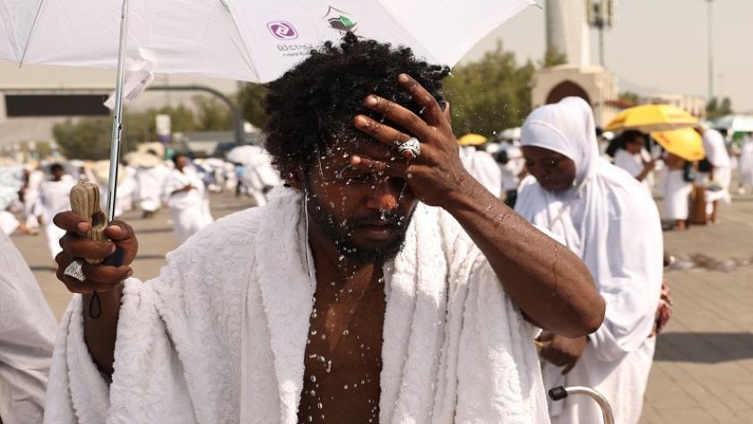 Iranpress: Over 500 Hajj pilgrims died in Saudi