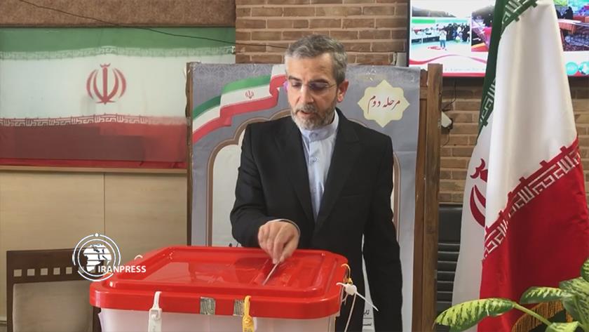 Iranpress: Iranian Pres. Election; Acting FM Says Voter Turnout Higher than 1st Round