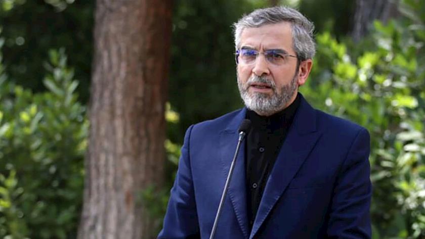 Iranpress: Acting FM Criticizes Canada, and European Countries for Obstructing Voting Rights