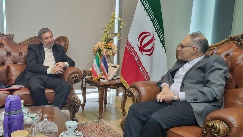 Iranpress: Director General of IRIB International Affairs Meets Iran