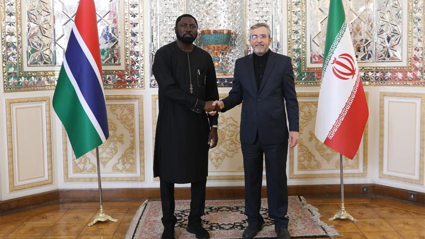 Iranpress:  Iran and Gambia Announce Resumption of Diplomatic Relations