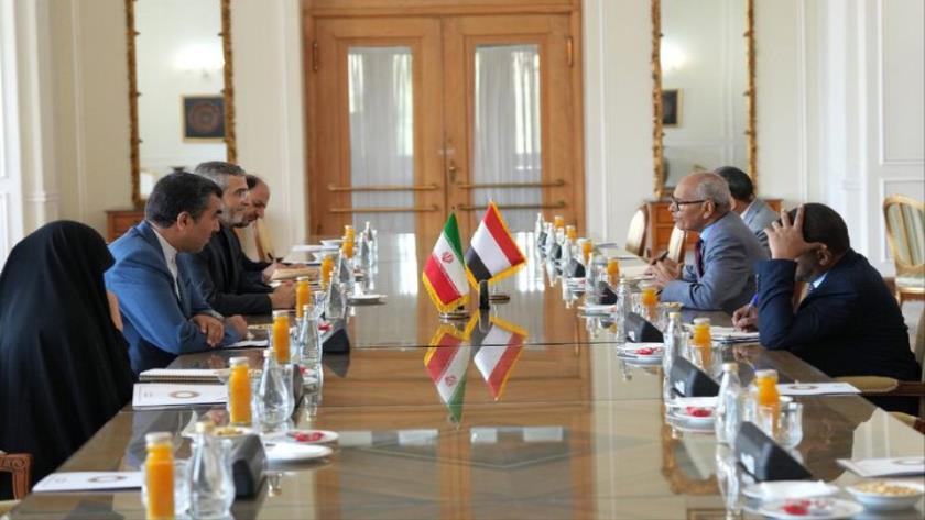 Iranpress: Bagheri Kani Calls for Iran, Sudan Boosting Ties to Deal with Gaza War Crimes 