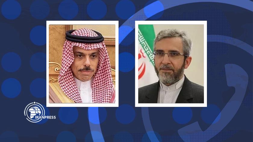 Iranpress: Iran, Saudi, Egyptian FMs Confer Latest Developments, Haniyah