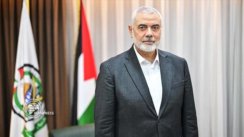 Iranpress: Haniyeh