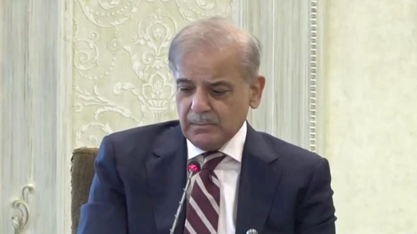 Iranpress: Martyrdom of Ismail Haniyeh is Violation of International Laws: Shahbaz Sharif 