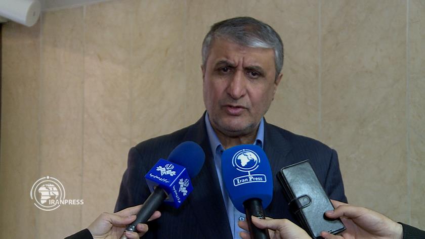 Iranpress: AEOI Head: Iran Among Top 3 Countries in Producing Radiopharmaceuticals