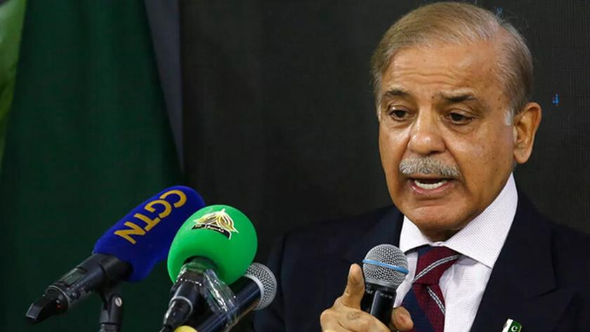 Iranpress: Israel Should Be Punished for Its Cruel Actions: Shehbaz Sharif