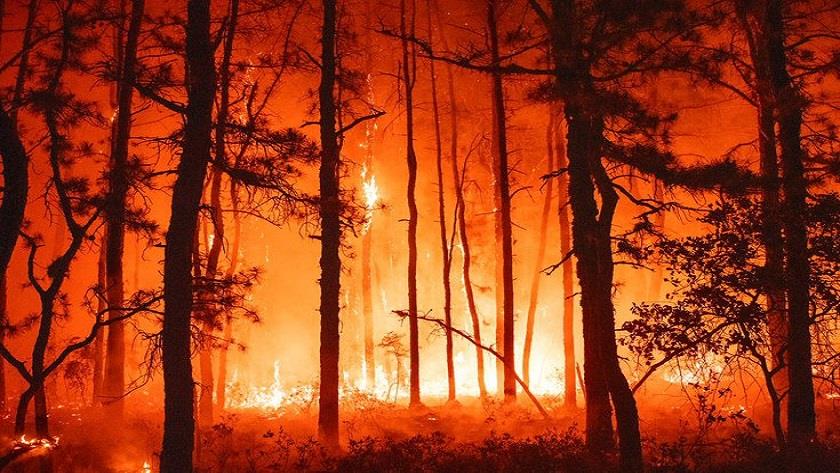 Iranpress: Greek Residents Evacuate as Wildfire Rages Amid Ongoing Heatwave