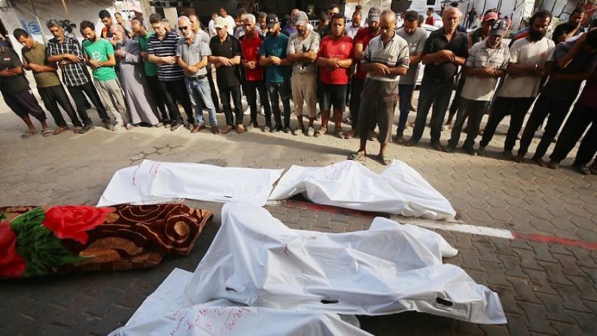 Iranpress: Gaza death toll reaches 40,602